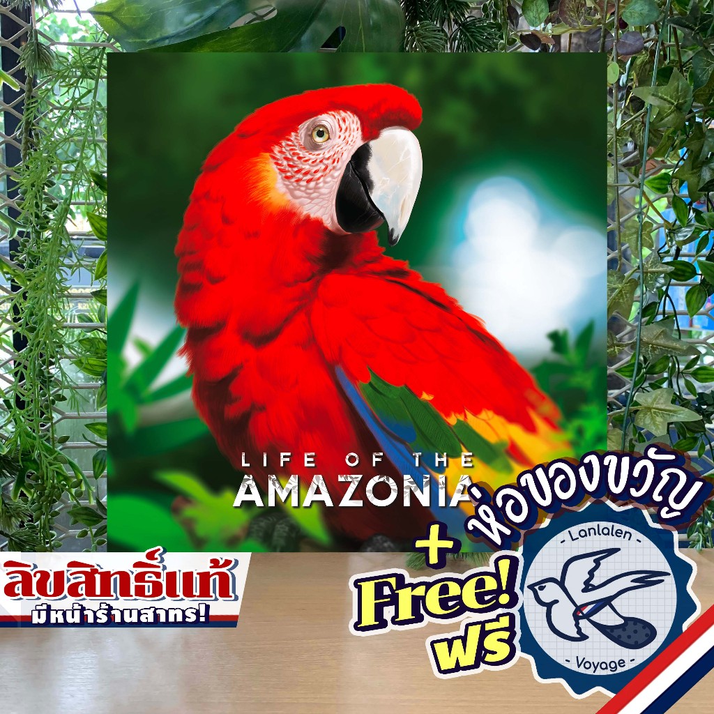 Life of the Amazonia Retail Edition ห่อของขวัญฟรี [Boardgame]