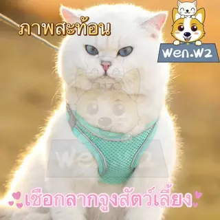 wen.W2 สายจูงแบบรัดอกสัตว์เลี้ยง แมว สุนัข เสื้อรัดอกแมวพร้อมสายจูง
