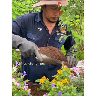ดินกุหลาบพุ่มทองฟาร์ม หมักพร้อมปลูก สำหรับพืชที่ชอบความโปร่งสูง ขนาด10โล (ส่งฟรี)