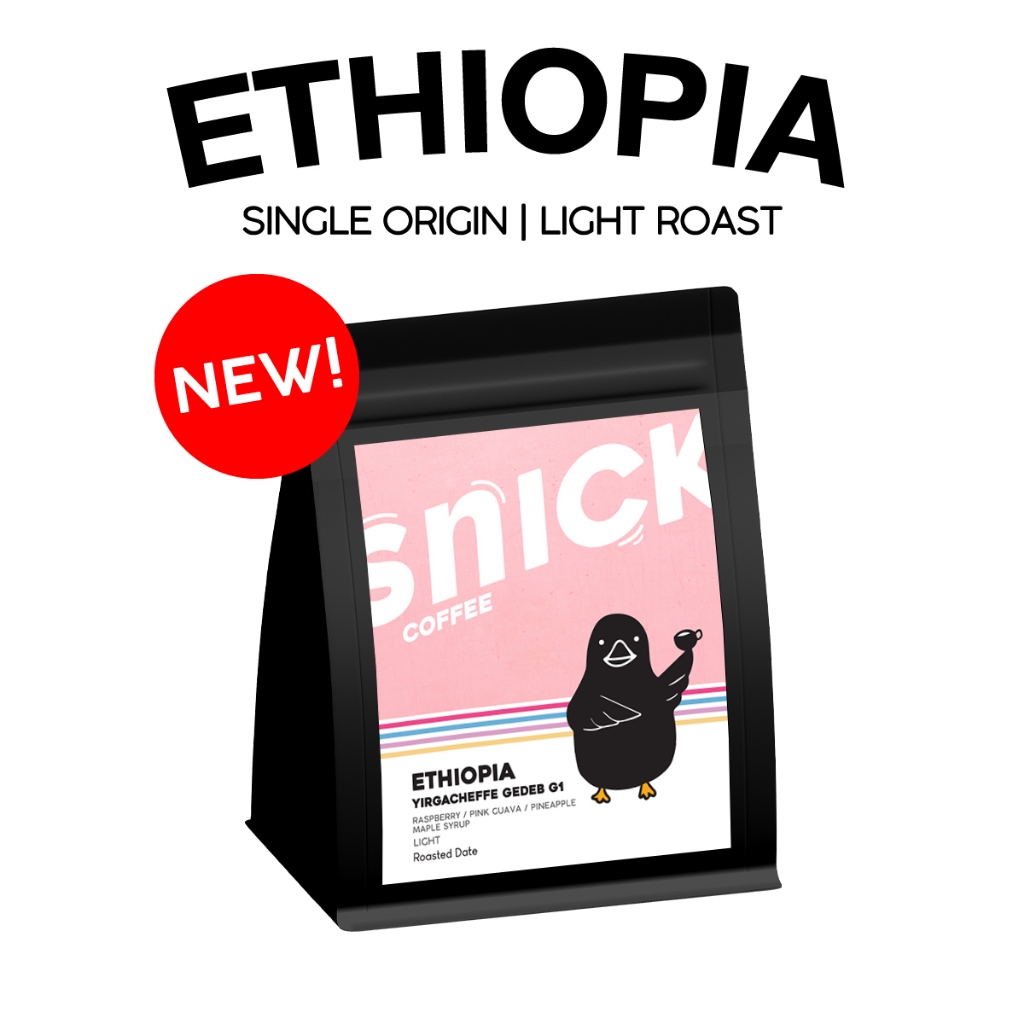 Snick Coffee เมล็ดกาแฟคั่วอ่อน Ethiopia Yirgacheffe Gedeb G1