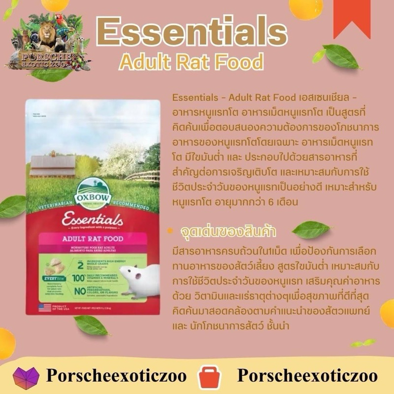 Oxbow อาหารเม็ดหนู #Essentials