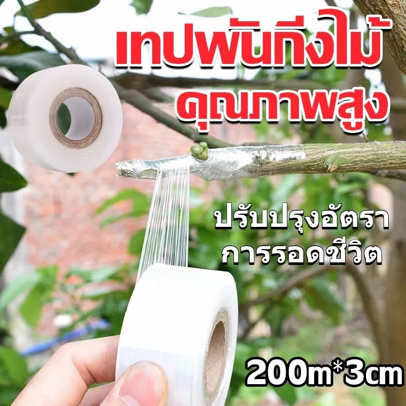 3cmx200m เทปพันกิ่งไม้ อุปกรณ์ทำสวน เทปพันตอนกิ่ง อุปกรณ์การเกษตร เทปพันกิ่งทาบ พลาสติกทาบกิ่ง เทปติดตาต้นไม้ฟิล์มยืด