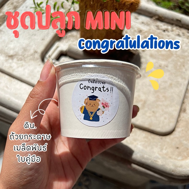 ชุดปลูกดอกไม้ Mini ของขวัญวันปัจฉิม  congratulations ดอกไม้สวยงาม - Flowers