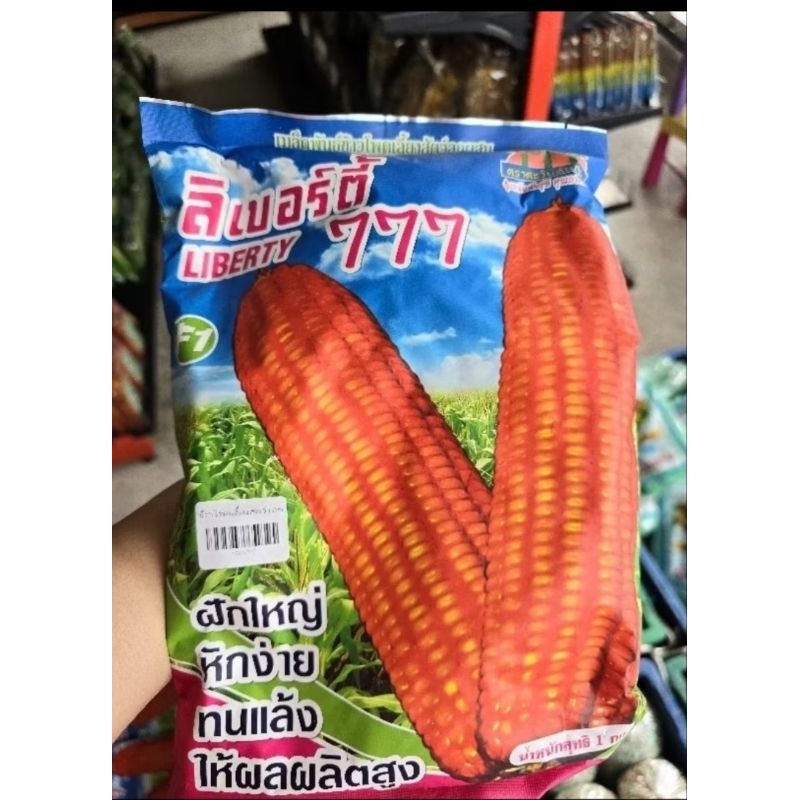 เมล็ดข้าวโพด ลิเบอร์ตี้ 777 Liberty  ขนาด 1 กิโลกรัม ตรา ตะวันต้นกล้า สำหรับปลูกให้สัตว์ เมล็ดข้าวโพดสัตว์