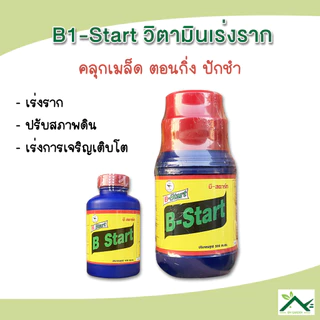 B Start บี-สตาร์ท น้ำยาเร่งราก ตราทีเร็กซ์ สูตรเข้มข้น