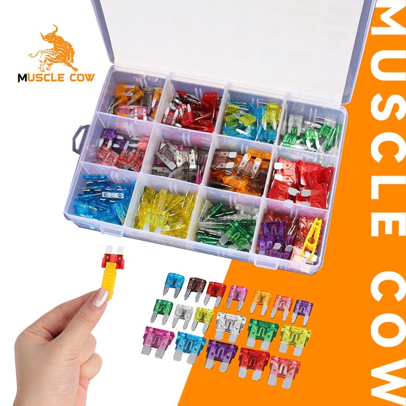 MUSCLE COW ชุดฟิวส์รถยนต์ 300 ชิ้น 2A-40A ปกป้องระบบไฟฟ้าของรถคุณอย่างเต็มที่