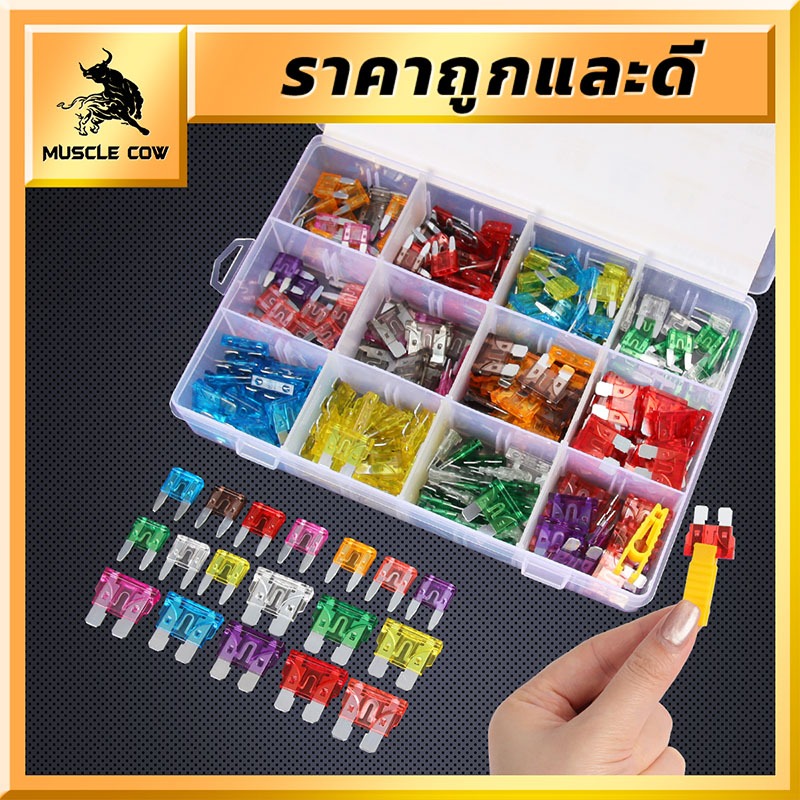 MUSCLE COW ชุดฟิวส์รถยนต์ 300 ชิ้น หลากสี 2A-40A พร้อมกล่องจัดเก็บ ป้องกันระบบไฟฟ้ารถยนต์ครบวงจร