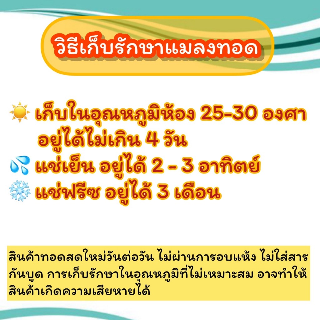 ดักแด้ทอด (หนอนไหม) แมลงทอดซู่ซ่า รูปที่ 5