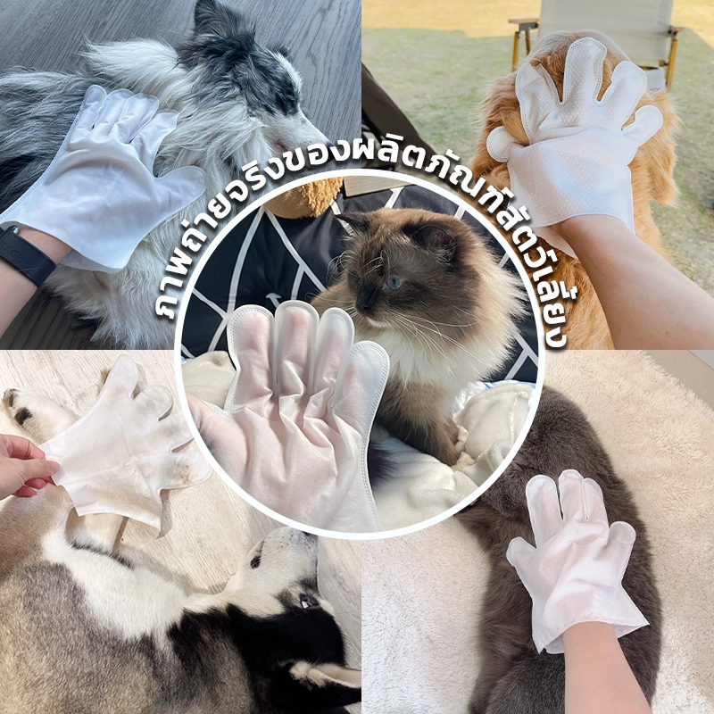 ถุงมือทำความสะอาดสัตว์เลี้ยง ทิชชู่เปียกสัตว์เลี้ยง สำหรับน้องหมาน้องแมว ขจัดคราบกลิ่นน้อง แบบใช้แล้วทิ้ง ไม่ต้องล้าง - รูปที่ 6