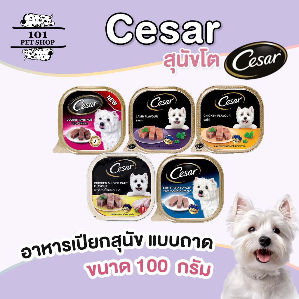 cesar อาหารสุนัขชนิดเปียก 100g