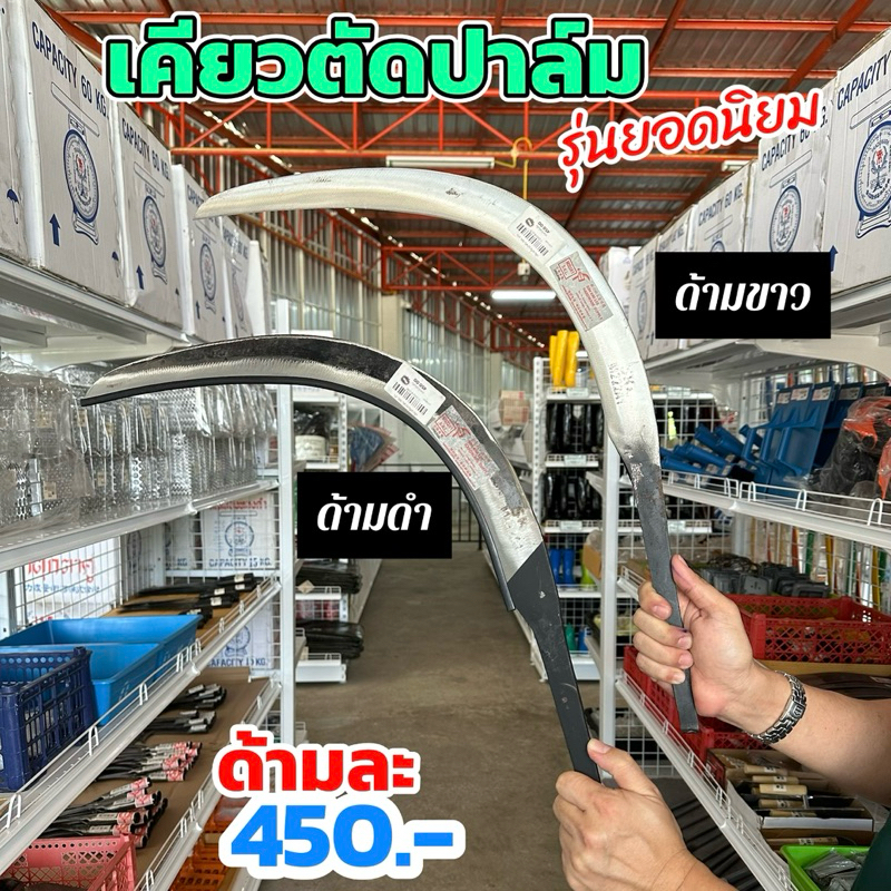 🔆เคียวตัดปาล์ม, เคียวเกี่ยวปาล์ม🔆 แข็งแรง คม ทนทาน นำเข้าจากมาเลเซีย ราคาถูก ได้รับความนิยมสูงสุดจากชาวสวนปาล์ม