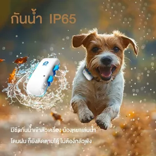 G-Dog GPS ติดตามสัตว์เลี้ยง โดยยึดกับปลอกคอ ช่วยติดตามสัตว์เลี้ยง มีเสียงช่วยให้การติดตามง่าย
