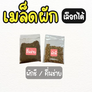 ชุดปลูกผักไฮโดรโปนิกส์ ชุดปลูกผักชี คึ่นช่าย อุปกรณ์ครบ พร้อมปลูก ( **เเถมเมล็ด** )