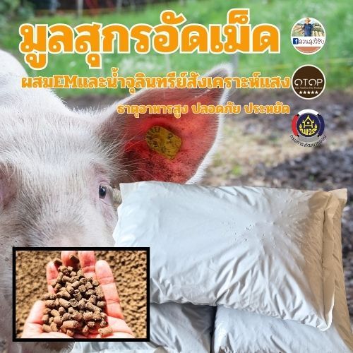 มูลหมูอัดเม็ด หมักจนหมดแก้สแล้วผสม EM และจุลินทรีย์สังเคราะห์แสง ขนาด 2 กิโลกรัม  สินค้าดีจาก OTOP ออกกำกับภาษีได้คะ