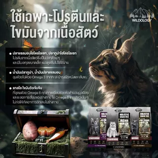 อาหารแมวแบบเม็ดโฮลิสติกเกรนฟรี ไวลด์โอโลจี MAJOR HUNTER สำหรับแมวทุกอายุตั้งแต่ 3 เดือน - 7 ปี [ MH ]