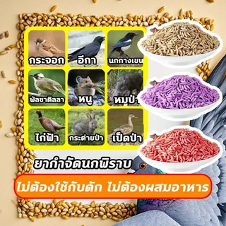 🕊️เห็นผลชัวร์100%🐦 แลนเนท ยาเบื่อนก ยาฆ่านกพิราบ 500กรัม ยากำจัดนกพิราบ ทำลายอวัยวะภายในตายใน 1วัน แห้งเร็วและไม่มีกลิ่น