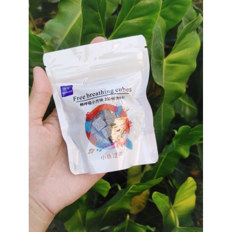 วัสดุ media กรองที่อยู่แบคทีเรีย