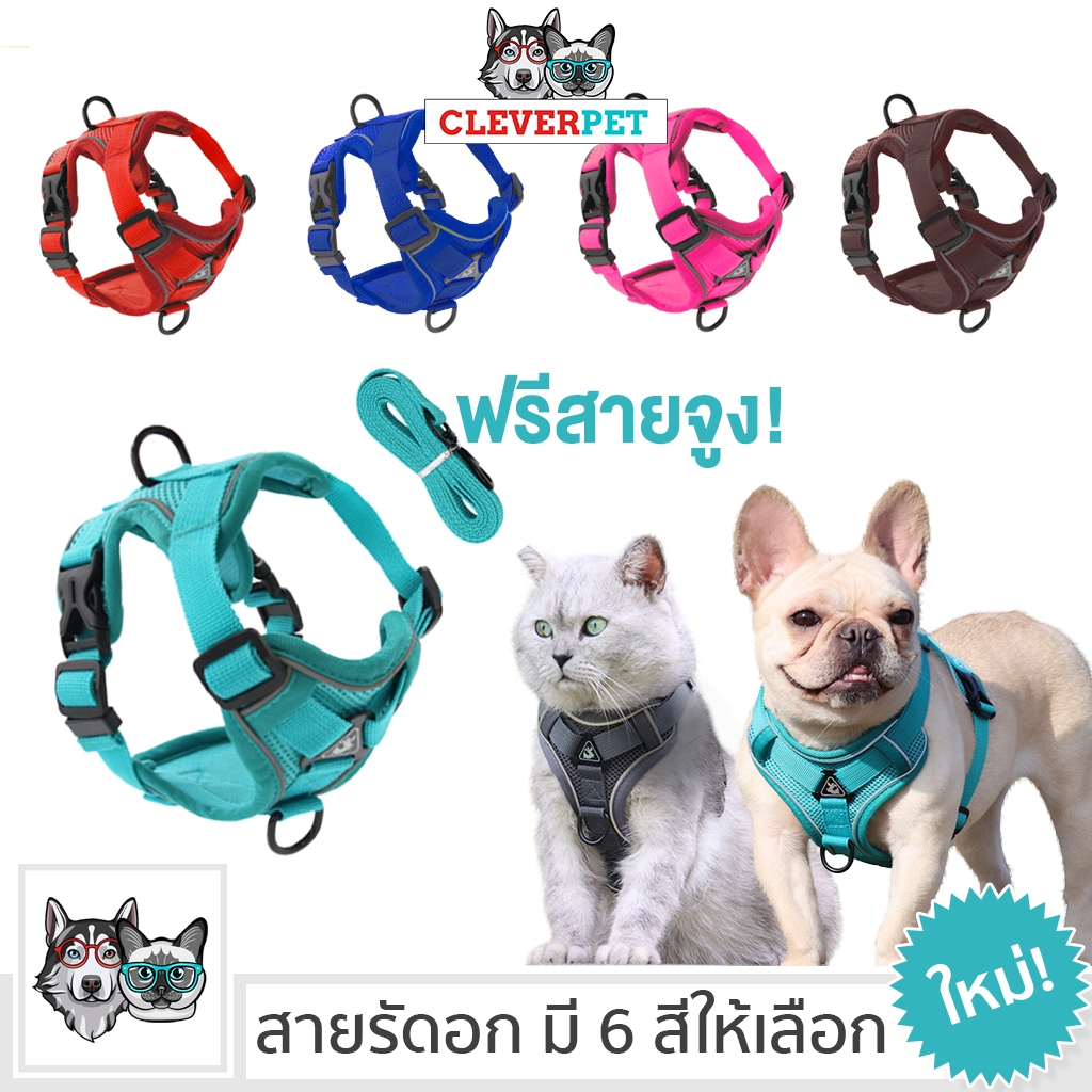 [ออก ETAX ได้ ] CleverPet สายรัดอกแมวและสุนัข ฟรีสายจูง ระบายความร้อน Pet Harness