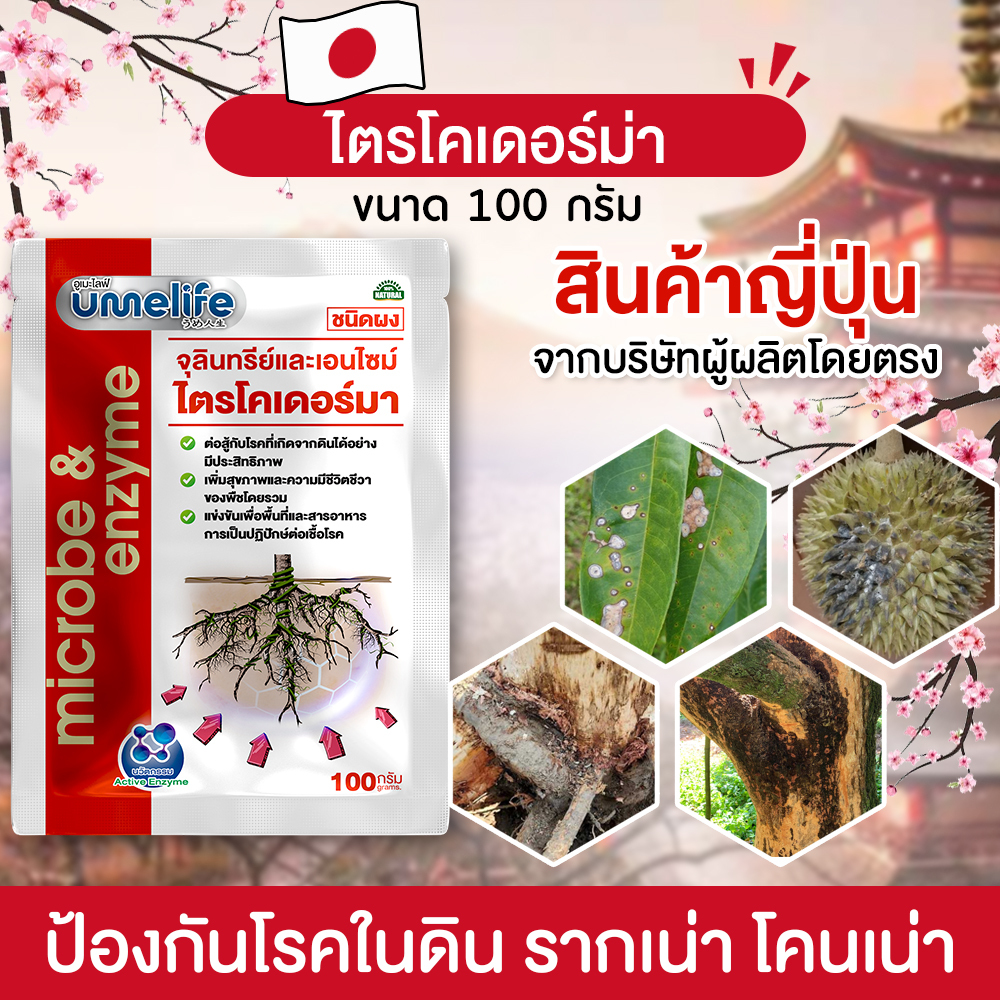 อูเมะไลฟ์ ไตรโคเดอร์มา 100 กรัม จุลินทรีย์ป้องกันรากเน่า เชื้อราในดิน ป้องกันเชื้อโรคในดิน บำรุงราก