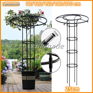 210cm ซุ้ม ไม้เลื้อย โครงเหล็กปลูกต้นไม้ ซุ้ม กุหลาบ สําเร็จ…