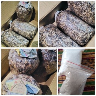 เชื้อเห็ดฟางพร้อมปลูก(เชื้อเห็ดฟาง3ก้อน+แป้ง+อาหาร)