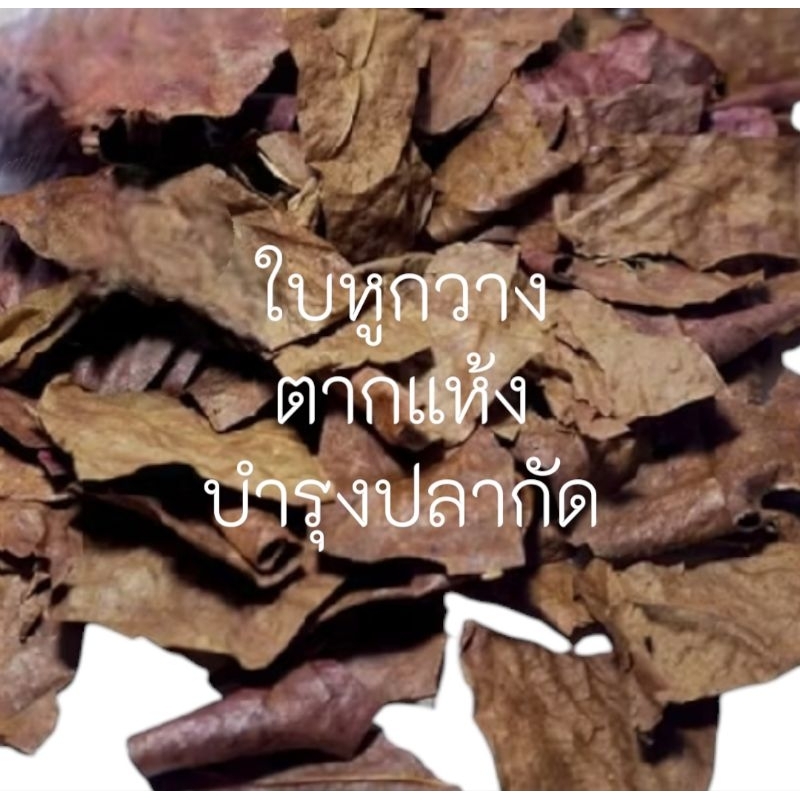 ใบหูกวางตากแห้งเอาก้านออก