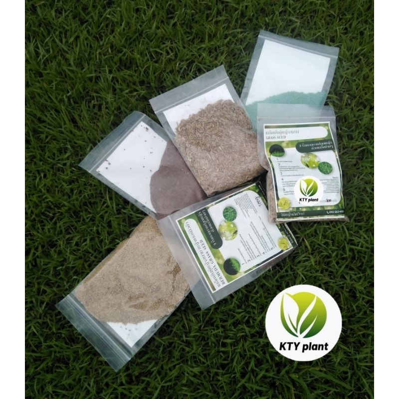 เมล็ดหญ้า100กรัม เบอร์มิวด้า, พาสพาลัม, หญ้านวลน้อยเทียบ , มาเลเซียเทียบ 100 กรัม 500,000เมล็ด