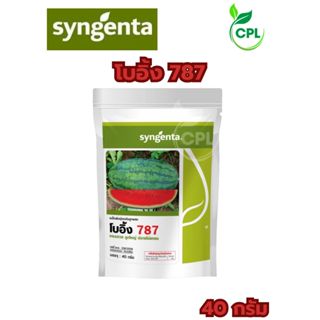 เมล็ดพันธุ์เเตงโม โบอิ้ง787 สิ้นอายุทำพันธุ์ 06-70