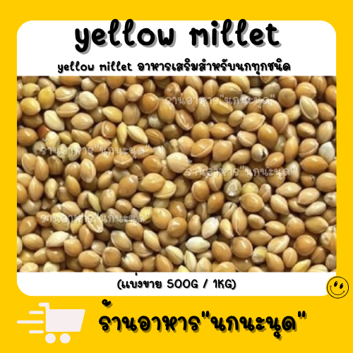 มิลเล็ตแดง เหลือง  Red  yellow Millet เกรดA ไร้ฝุ่น (แบ่งขาย 1kg.) อาหารนก