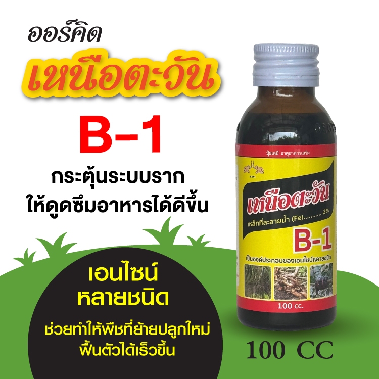 ออร์คิดเหนือตะวัน B1 กระตุ้นระบบราก 100 cc ให้ดูดซึมอาหารได้ดีขึ้น เร่งราก แก้ต้นโทรม