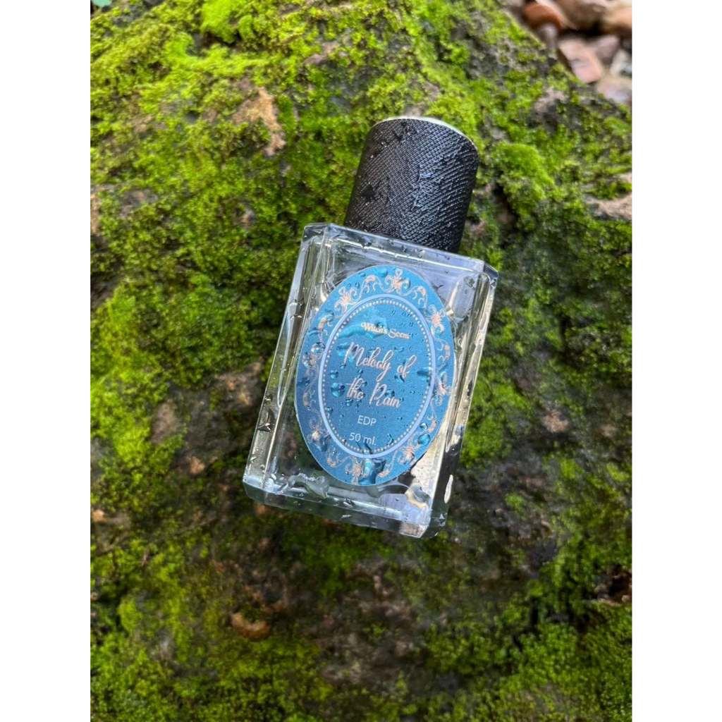 Witch's Scent - Melody of the Rain 50 ml