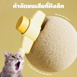 PetStern หวีสัตว์เลี้ยง หวีหมัดแมว หวีสแตนเลส สําหรับกําจัดหมัดขนสัตว์เลี้ยง มีปุ่มกดเพื่อดันขนออก อุปกรณ์ดูแลขนสุนัข แม