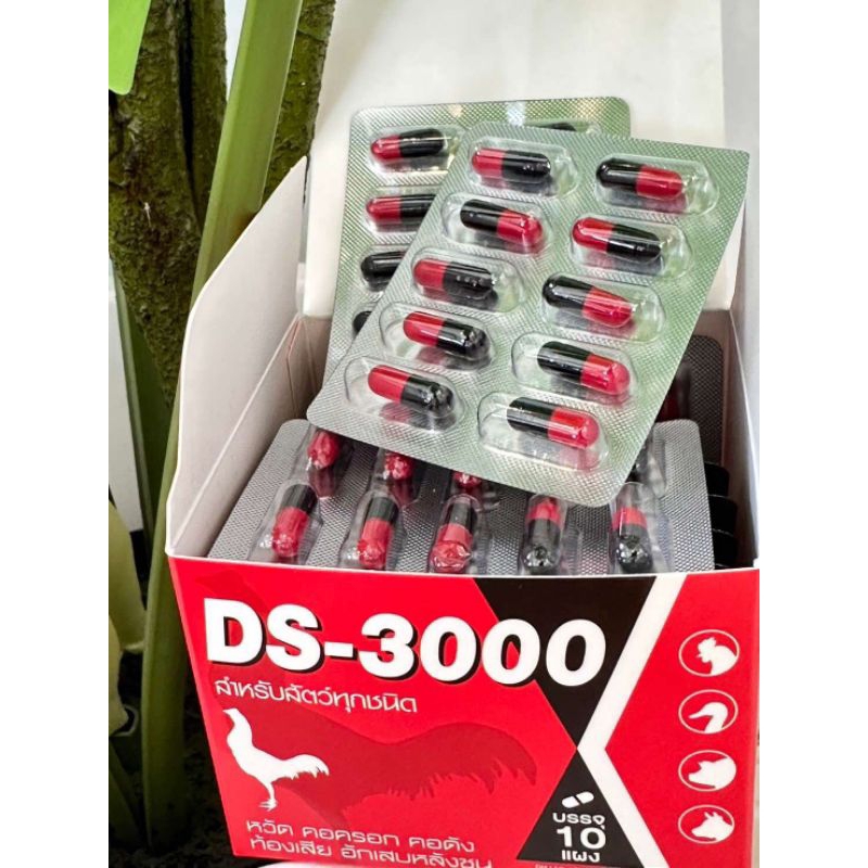 อาหารไก่ นก เม็ดแดง ดำ แดงชัวร์DS3000 หลังชน