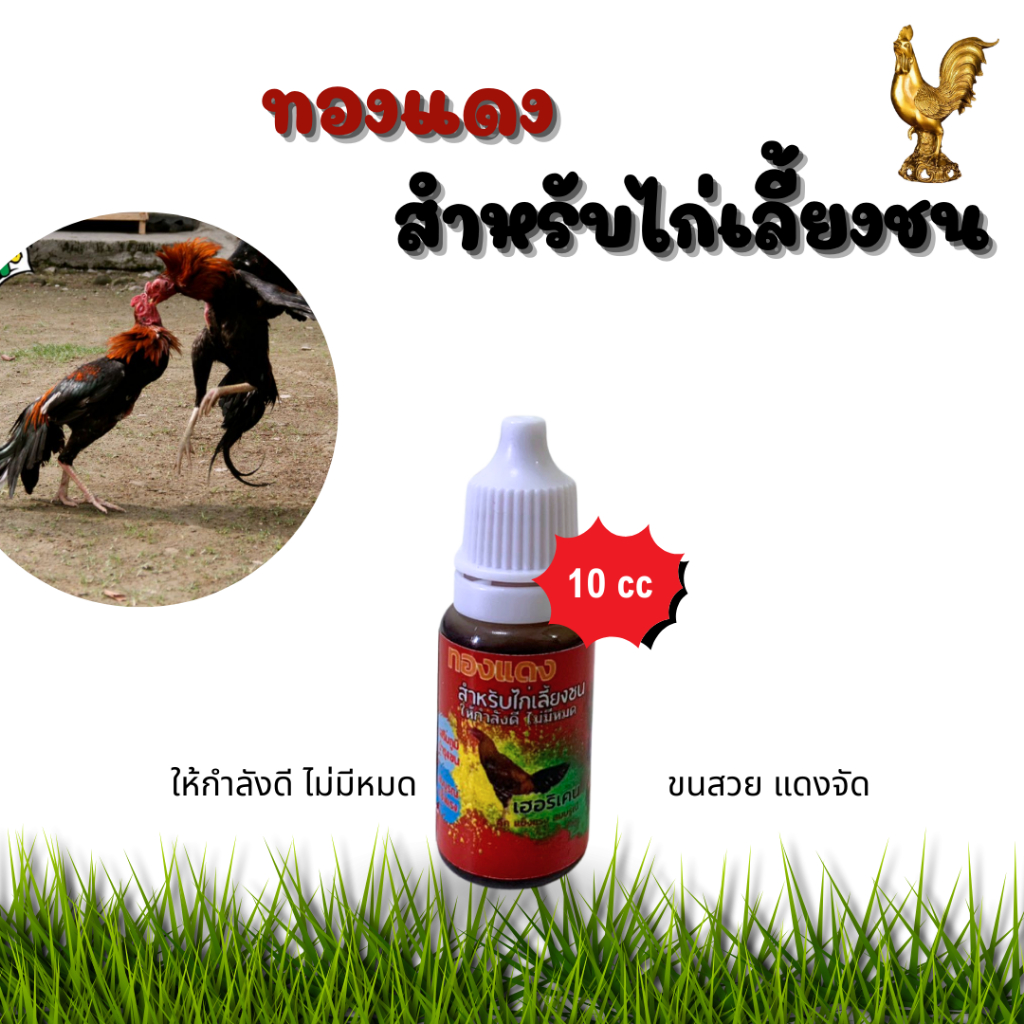 ลูกกลอนเลี้ยงไก่ชน 50เม็ดแถมฟรี ทองแดงเลี้ยงชน10cc สำหรับเลี้ยงไก่ชน แดง คึก สมบูรณ์ บินดี ไก่สู้ ราคา ถูกที่สุด ดีลบีเคเค แกลเลอรีภาพที่ 3