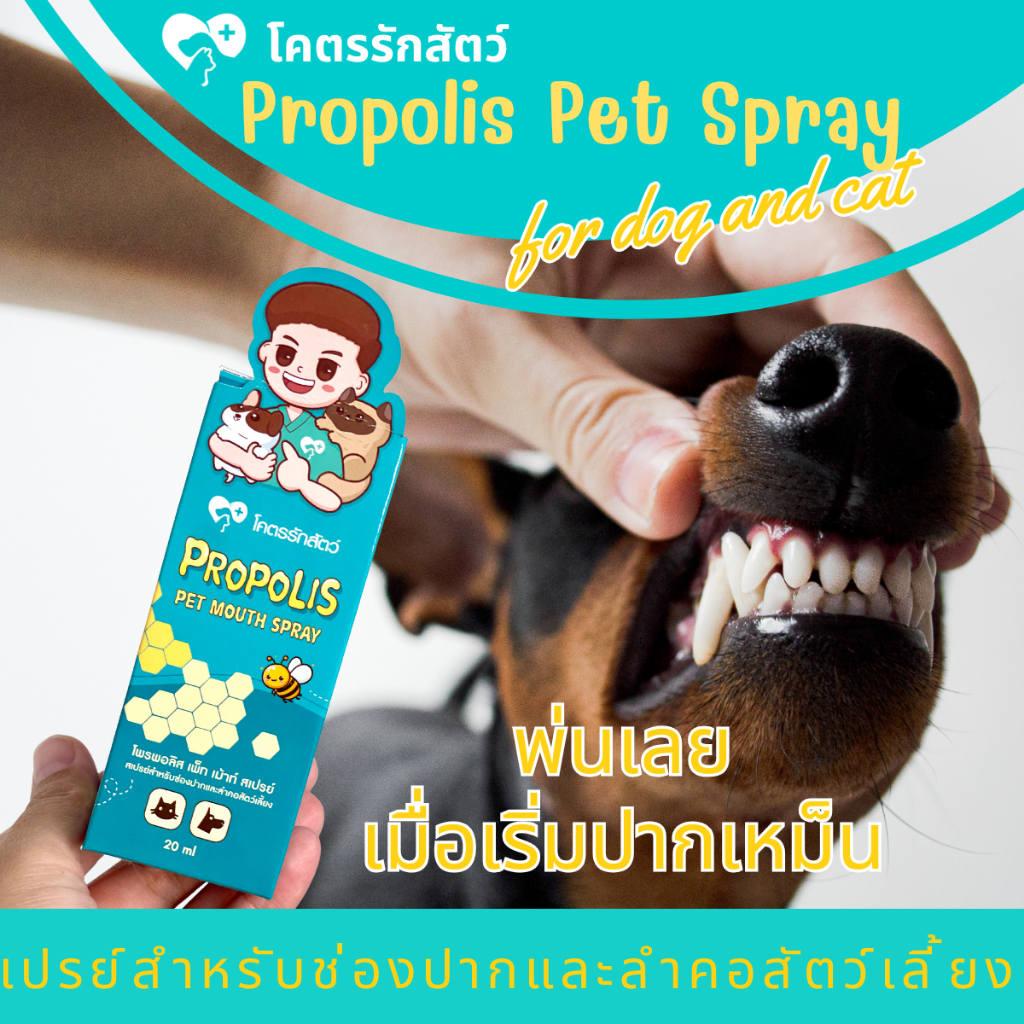 สเปรย์พ่นปากสัตว์เลี้ยง โพรพอลิส โคตรรักสัตว์ Spray 20 มล.