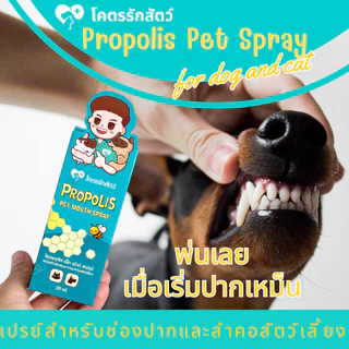 สเปรย์พ่นปากสัตว์เลี้ยง โพรพอลิส โคตรรักสัตว์ Spray 20 มล.