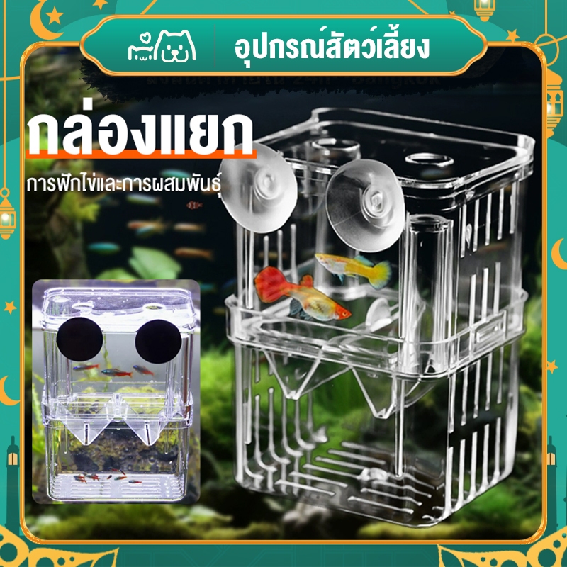 ตู้ปลาจุดอะคริลิกล่องแยกสองชั้นกล่องฟักปลาหางนกยูงปลาสวยงามกล่องเพาะพันธุ์ปลาต่อสู้กล่องประเทศไทยคลังสินค้าจัดส่ง24ชั่วโ