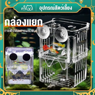 ตู้ปลาจุดอะคริลิกล่องแยกสองชั้นกล่องฟักปลาหางนกยูงปลาสวยงามก…