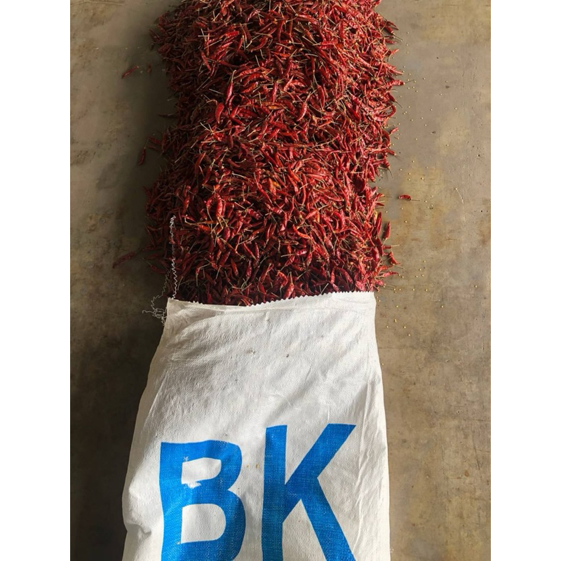 พริกจินดา (ก้านอ้วน)   เผ็ด  คัดสวย น้ำหนัก  1 กิโลกรัม - รูปที่ 2