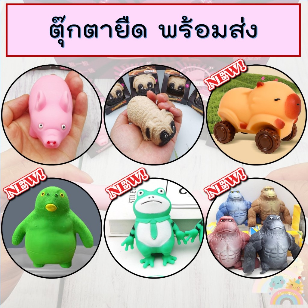 [COD] หมูยืดดดด รถคาปิบาร่า สกุชชี่ พร้อมส่งจากไทย ราคาถูก ของเล่นเด็กและผู้ใหญ่คลายเครียด