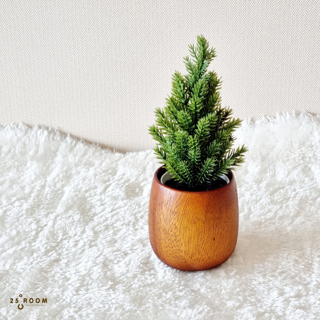 25C Room: กระถางไม้พร้อมต้นไม้ประดิษฐ์