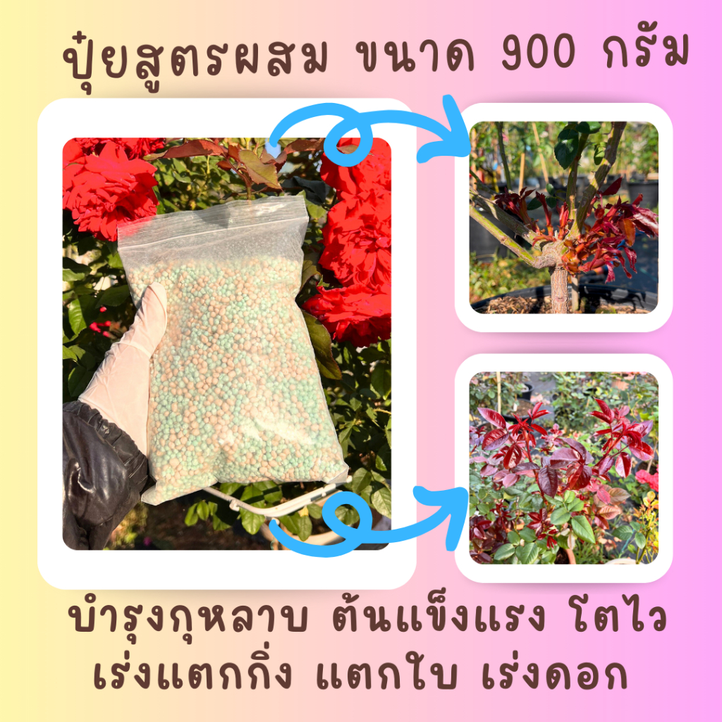 ปุ๋ยผสม (Mixed) บำรุงกุหลาบครบส่วน เร่งโต เร่งแตกกิ่ง เร่งดอก ขนาด 900 กรัม