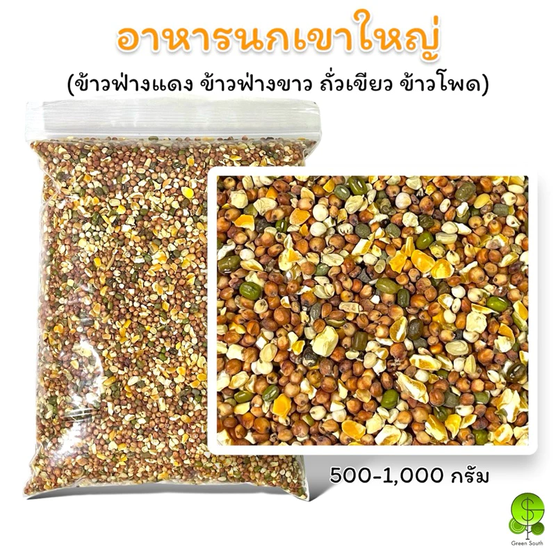 อาหารนกเขาใหญ่ นกพิราบ นกเขาชวา นกเขาแขก นกทั่วไป ขนาด 500-1,000 กรัม