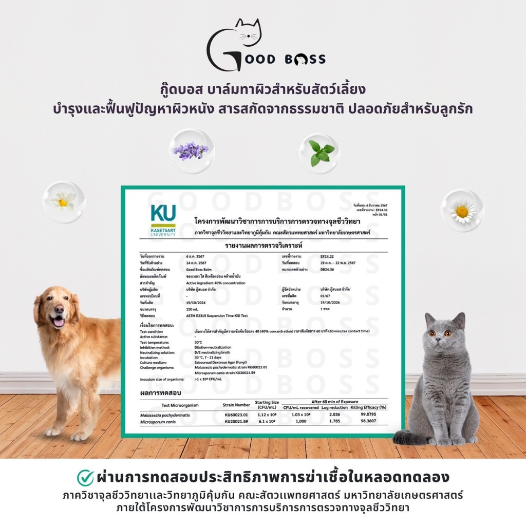 รูปภาพ 7