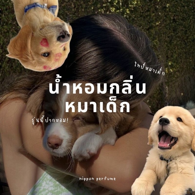 ✧รวมกลิ่นหมาเด็ก เอ้ย! แป้งเด็ก✧ 🥣🥛🍼