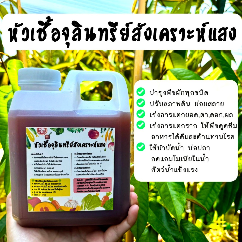 จุลินทรีย์สังเคราะห์แสง ขนาด1ลิตร ใช้บำรุงพืชผัก ปรับสภาพดิน บำบัดน้ำ บ่อปลา ดับกลิ่น ราคา ถูกที่สุด ดีลบีเคเค