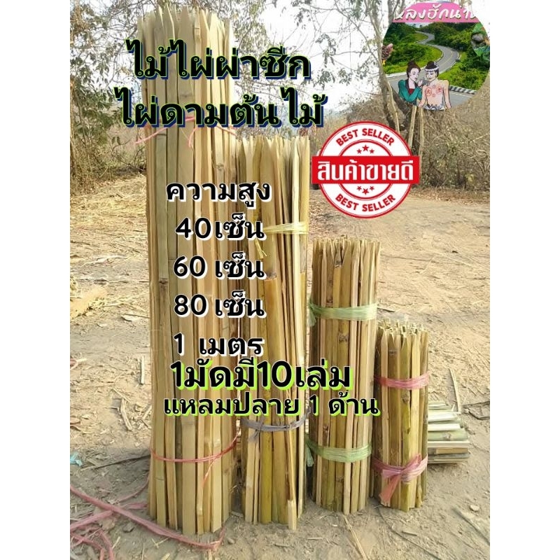 ไม้ไผ่ผ่าซีก ไม้หลัก ไผ่ดามต้นไม้ อุปกรณ์ตกแต่งสวน 1มัดมี10เล่ม