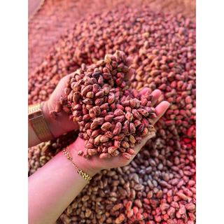 KeeRee ถั่วลายเสือ 500 กรัม (คัดเกรดพิเศษ) จากโรงคั่วถั่ว ท่าโป่งแดง จังหวัดแม่ฮ่องสอน