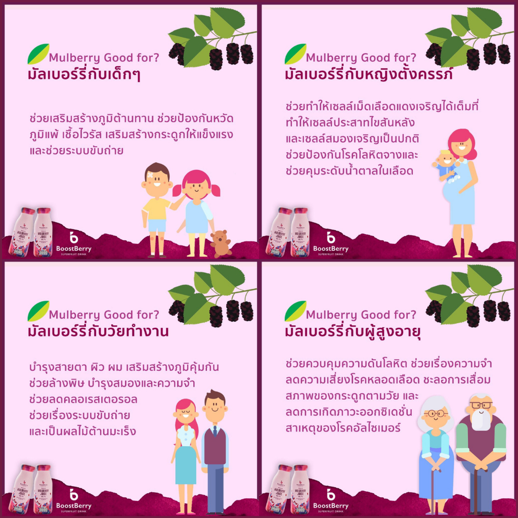 48 ขวด น้ำมัลเบอร์รี่แท้ ตราบูสท์เบอร์รี่ --- "BoostBerry" Mulberry Juice