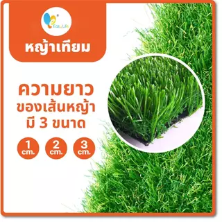 หญ้าเทียม หญ้าเทียมปูพื้น อุปกรณ์ตกแต่งสวน แผ่นหญ้าเทียม หญ้าปลอม หญ้าแผ่น สนามหญ้า หญ้าปูพื้นสนาม